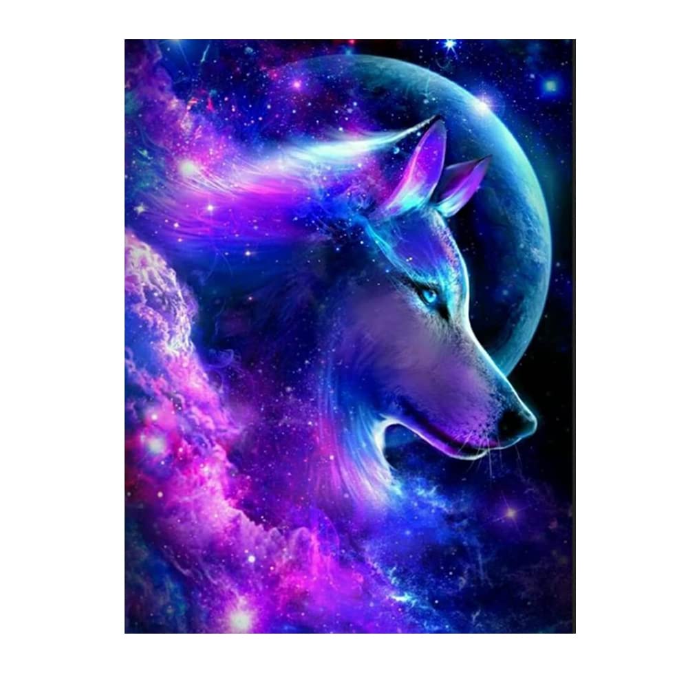 TOOINKCV 5D DIY Diamond Art Painting Kits, Diamond Painting
